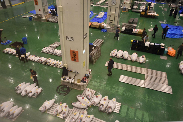 Toyosu Fish Market Tour for Chefs – Go Behind the Scenes