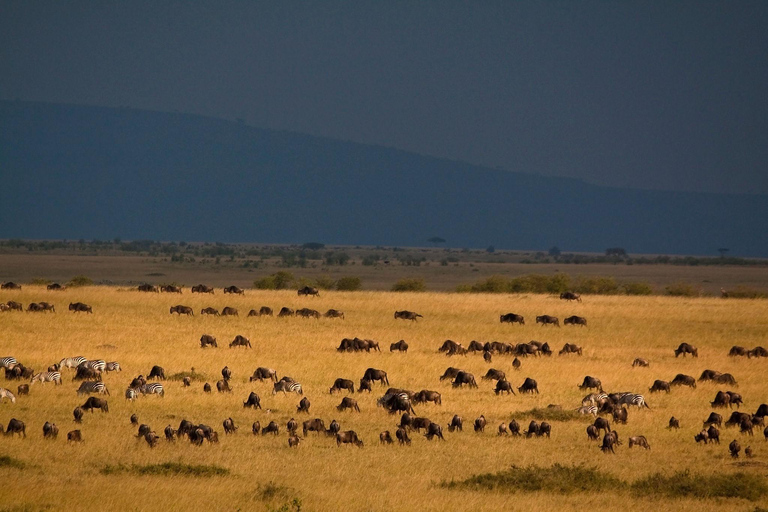2-Day Tsavo East National Park Private Safari