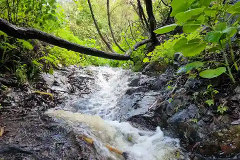 Gran Canaria : Randonnée "Cascades magiques".