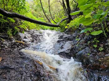 Gran Canaria: "Magic Waterfalls" Hiking Tour