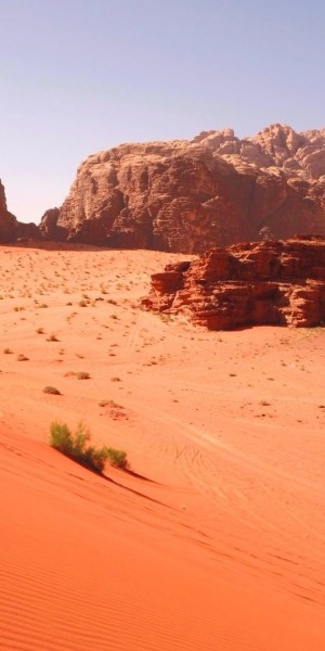 Wadi Rum, 8 Hour Jeep Tour, Camel, Sandboarding & Lunch - Housity