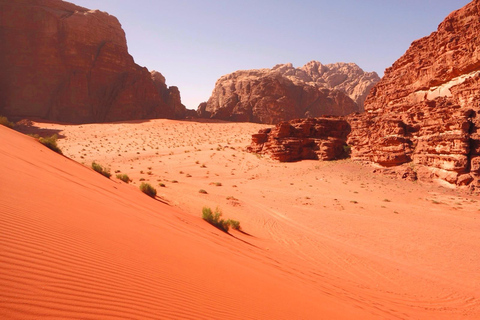 Wadi Rum : 8 heures de jeep, chameau, surf des sables et déjeunerVisite privée de 8 heures en jeep sans balade à dos de chameau