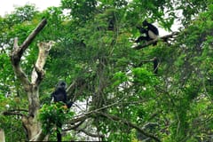 Hiking | Ninh Binh things to do in Ninh Bình