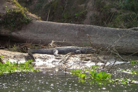 Turistbuss från Katmandu till Chitwan