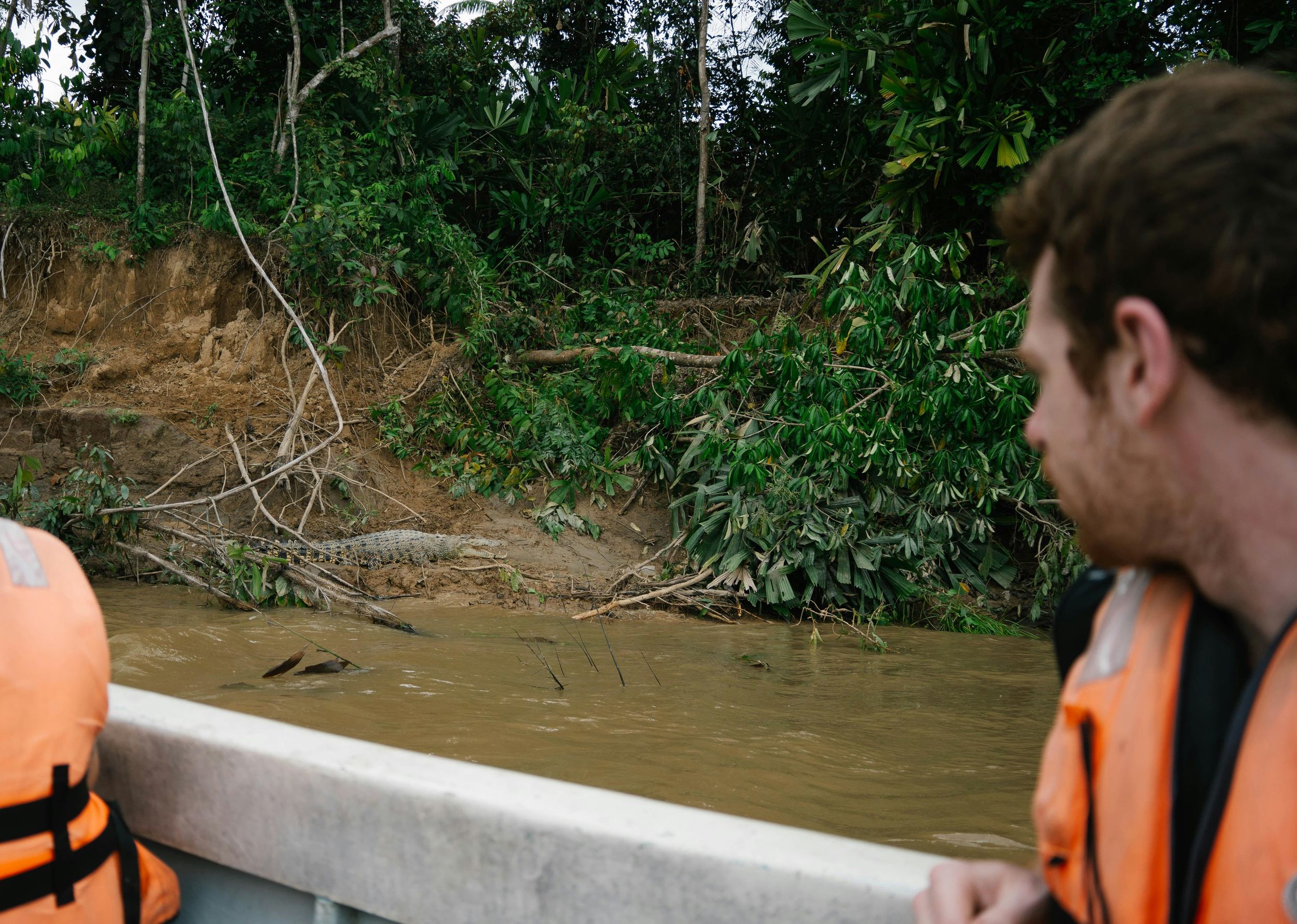 Sandakan: 2-tägige Wildtiersafari, nächtliche Bootsfahrt & Dschungelspaziergang