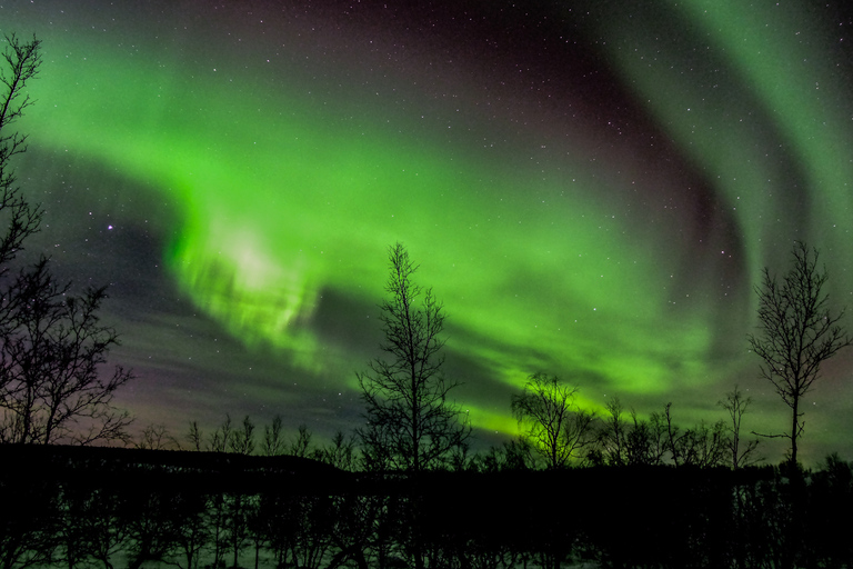 Abisko: Aurora Night & Swedish Glögg - Snowshoe Experience