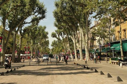 Aix-en-Provence: passeio a pé guiado privado