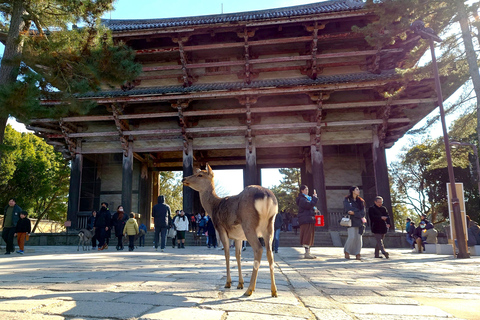 Nara UNESCO-listat världsarv Långsam cykeltur