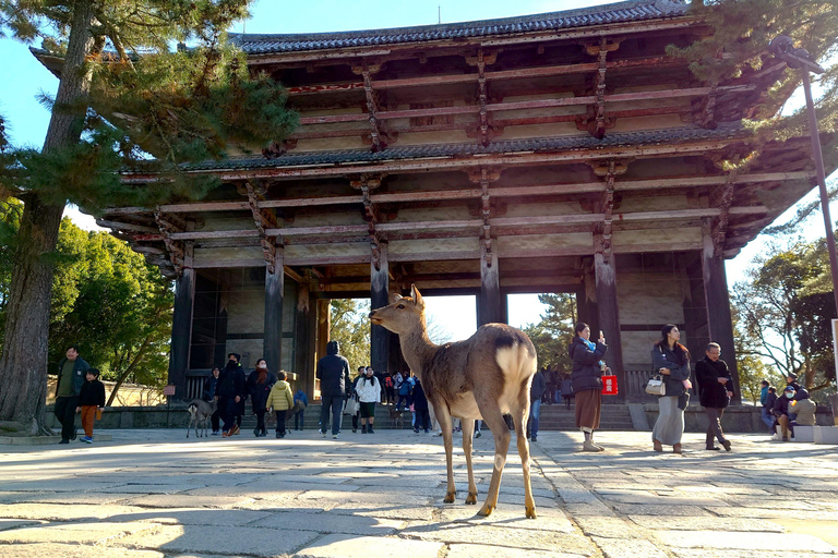 Nara UNESCO-listat världsarv Långsam cykeltur
