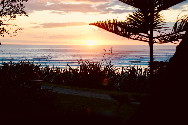 Auckland : Leçon de surf en groupe avec l&#039;école de surf Muriwai