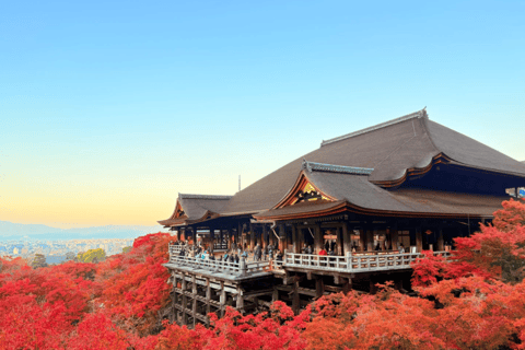 Osaka/Kyoto: Passeio em pequenos grupos pelo Património Mundial da UNESCO de Quioto e NaraPartida de Quioto