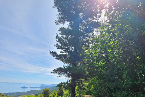 E-Bike-Ausflüge und Mittagessen in Monte Capanne