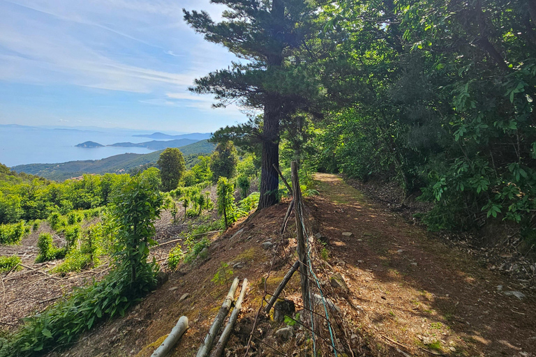 E-Bike-Ausflüge und Mittagessen in Monte Capanne