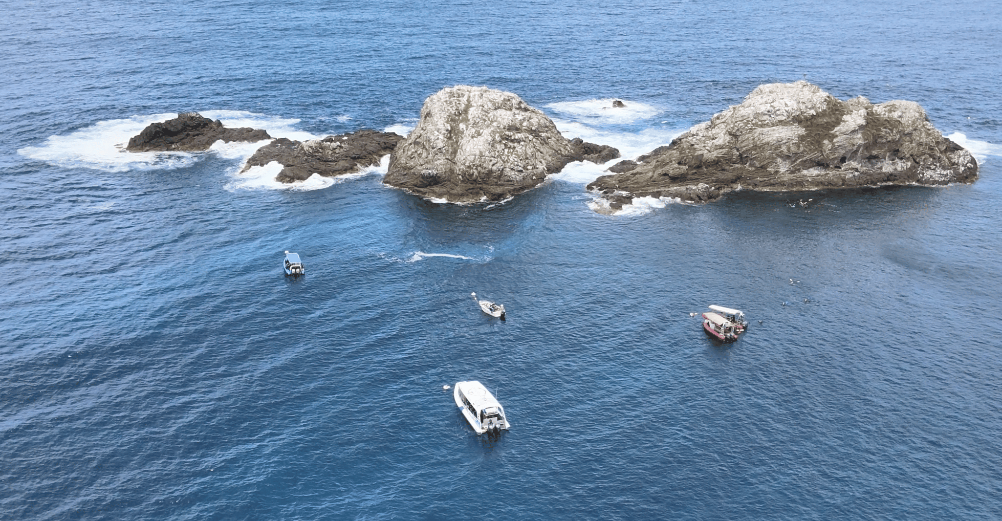 Byron Bay: Snorkeling Tour at Julian Rocks, Nguthungulli photo 16