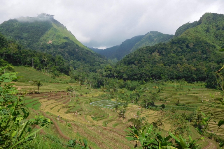 yogyakarta: Selogriyo, Marvel Amidst Java's Lush Terraces