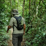 Khao Sok: Private Day Trekking, Jungle Dinner & Night Safari