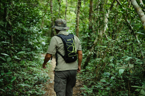 Khao Sok: Trekking privado de um dia, jantar na selva e safári noturno