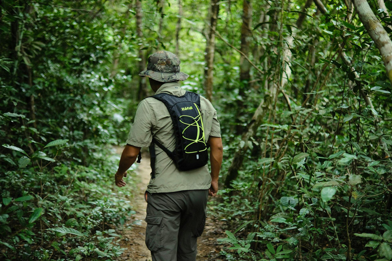 Khlong Sok: Khao Sok Waterfalls and Wildlife Half-Day TrekPrivate Adventure