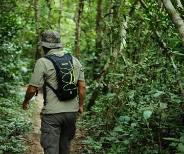 Khao Sok: Prive dag trektocht, jungle diner & nachtsafari