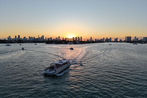 Miami: Millionaire's Row Cruise with Bay Swim Stop