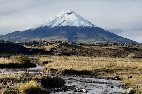 Randonnée et équitation au volcan Cotopaxi pour débutants