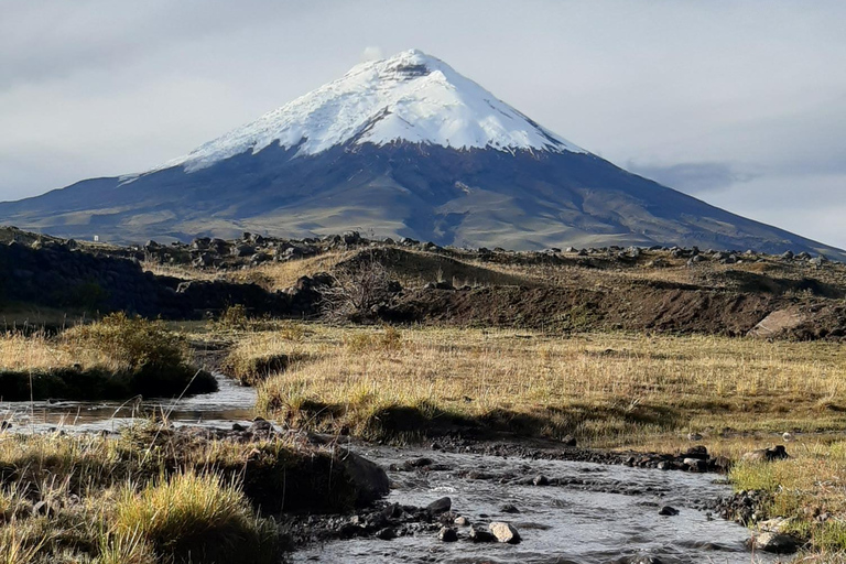 Randonnée et équitation au volcan Cotopaxi pour débutants