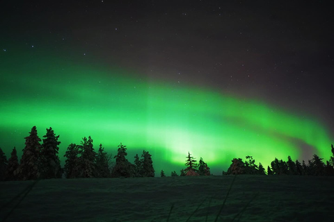 Northern Lights Rovaniemi Guaranteed & Unlimited KM Hunting