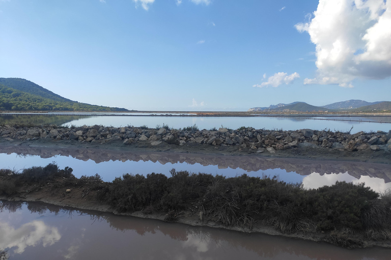 Ibiza : Les lits de sel, Es Vedra et le temps et l&#039;espace visite d&#039;une demi-journéeIbiza : Les lits de sel, Es Vedera et le temps et l&#039;espace visite d&#039;une demi-journée