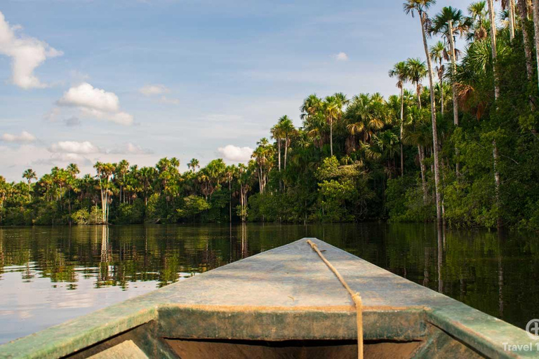 From Puerto Maldonado || Jungle trekking + Sandoval Lake ||