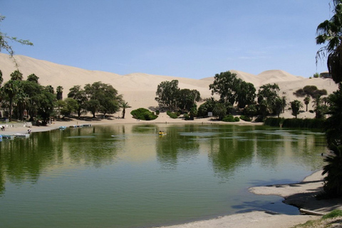 Ica: Bus Station Transfer to/from city center or Huacachina Arrival to Huacachina Oasis from 7:00 AM to 5:00 PM