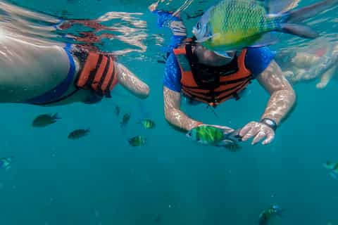 From Phuket: Phi Phi, Maya, Bamboo, & Maiton Island Day Trip