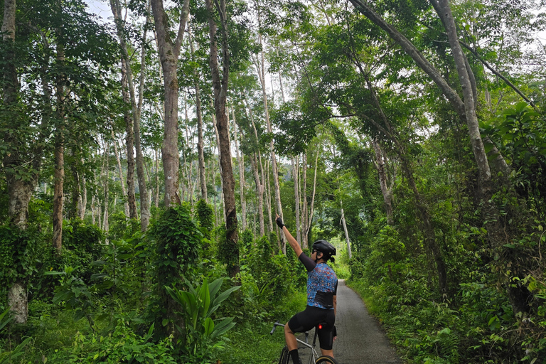 Langkawi: Small Group Countryside Cycling Tour Paddy Fields