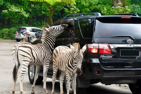From Jakarta: Safari Park, Botanical w/ Lunch & Transfer