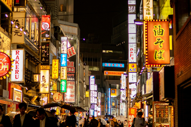 Osaka Sightseeing ,Hidden Gems with Luxury Vehicle &English