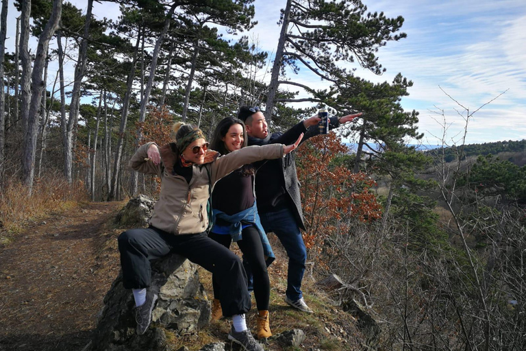 فيينا جولة خاصة سيراً على الأقدام عبر الريف الجبلي