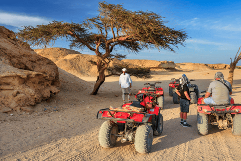 Sharm El Sheikh Combo Safari & Ras Mohammed Adventure