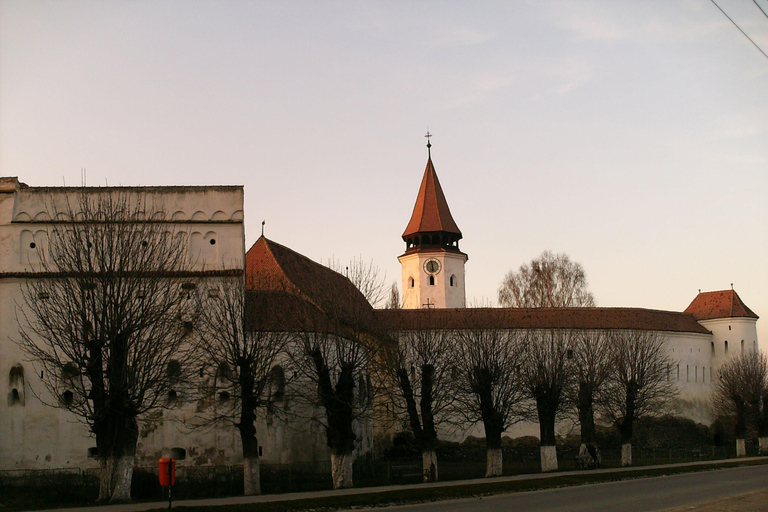 Brasov: Castelo de Peles, Castelo de Bran e Castelo de Prejmer - Excursão de um diaBrasov: Excursão de um dia aos Castelos de Peles, Bran e Prejmer