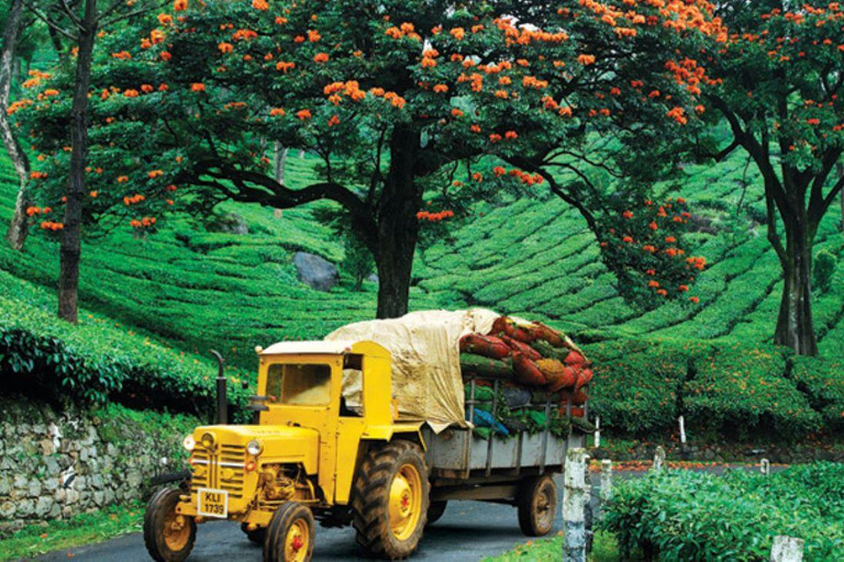 Overnachting in Munnar Hill Station Tour met schoonheid van Kerala