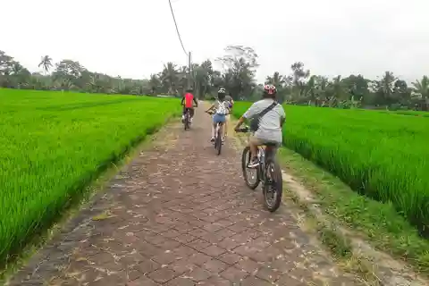 Bali: Ubud Country Side Cycling Tour with Lunch