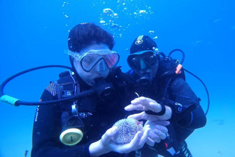 My first scuba dive in the Ocean from Madeira