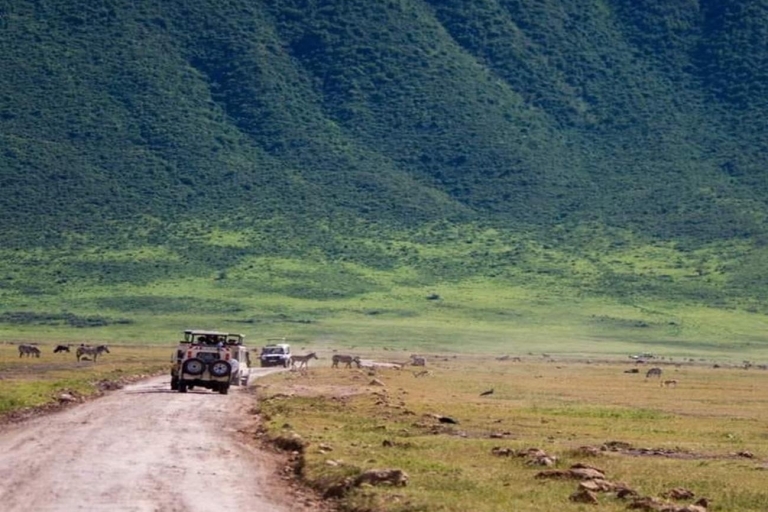 Arusha: Safari de 4 días a Tarangire, Serengeti y NgorongoroSafari de 4 días por Tanzania en Grupo