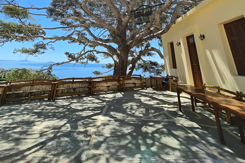 La visite gastronomique sélective "Feel like local" au départ d'HéraklionMinibus (10 places) Sprinter