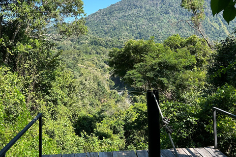 华图尔科：滑索冒险与异域花园之旅，并参观观景台