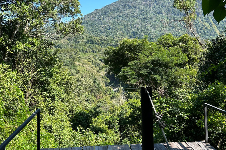 华图尔科：滑索冒险与异域花园之旅，并参观观景台