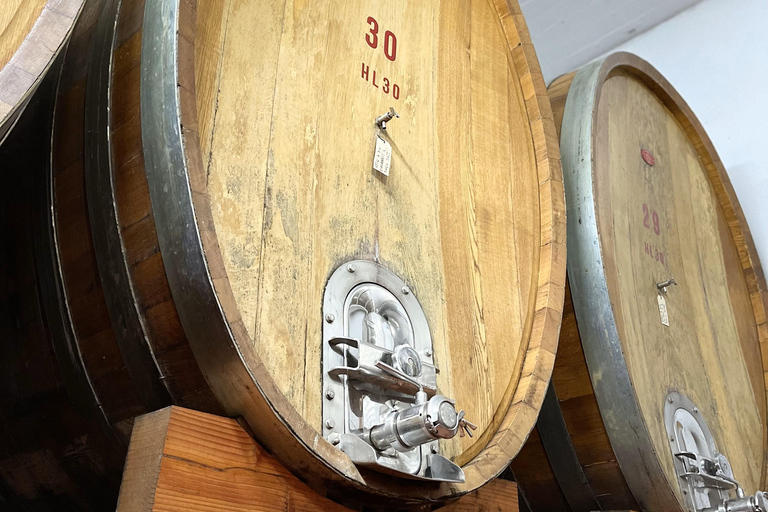 San Gimignano: Vineyard and Cellar Tour with Wine Tasting