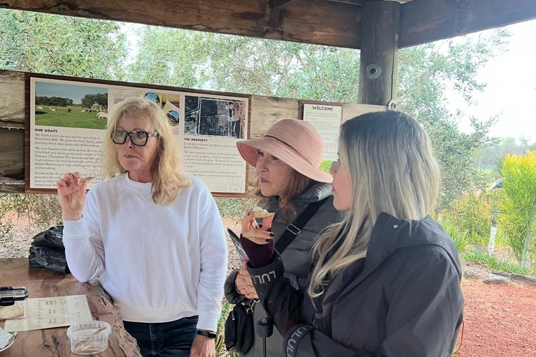 Wheatbelt & Historic New Norcia, Perth Day Tour with Lunch