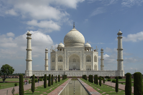 Zelfde dag tour naar Tajmahal met SOS wildlife olifant & beer