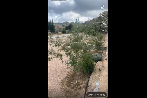 Makkah or Jeddah to Al-Hada, Al-Shafa, and Taif City Tour A journey full of experiences، learn about Saudi hospitality