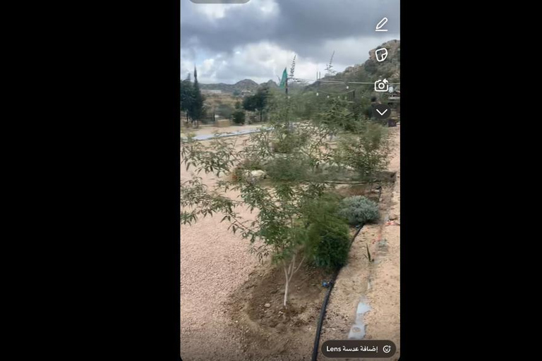 Makkah or Jeddah to Al-Hada, Al-Shafa, and Taif City Tour A journey full of experiences، learn about Saudi hospitality