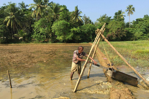 Kochi: Full-Day tour with Temple, Farming & Village Life